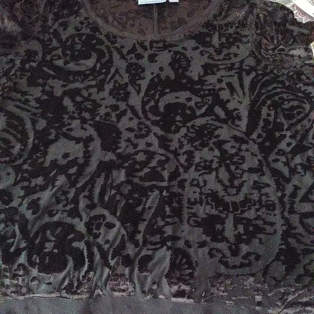 Simply Vera Wang,Size XL,Black sheer blouse